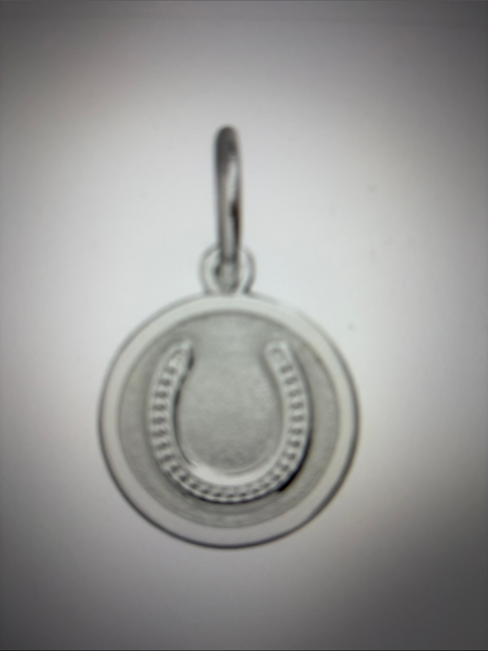 Lola Horseshoe Charm